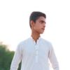 najafalizardari7