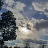 uigulaana_