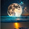 mr_midnight31