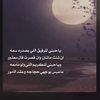 user7446606528658