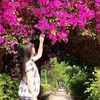 cocoamy315