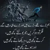 arzoo.khan937