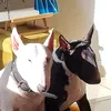 monsieur.et.madame0