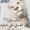sh_203033
