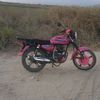 deivisbrant595