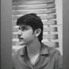 dvs_w