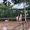 eq_dora