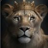 aslan00608