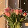 user9862471980547