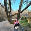 nachapop33