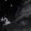 bbyflower_345