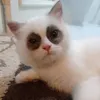 michcam38