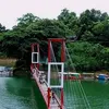 asifrana8837