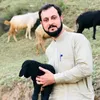 joharalikhan649