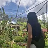 liannlve