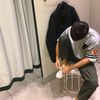glavar_04