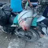 phuctrungcuc94