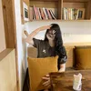 haphuong4447_guy