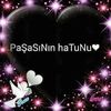 havinhazalgurcany