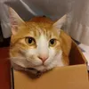 user7miviveuwy