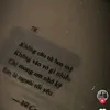 tmy_240412