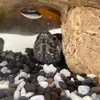 zoi_2738