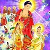 suonghoai3506