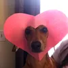 webxprincess