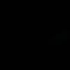 pickleg_1