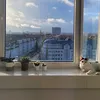 frohesneuesjahr2024