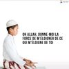 safia4990