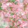 user9050511067135moemoe