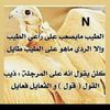 maher_rb7