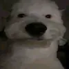 nana_anna._