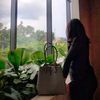 missanggria