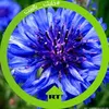 mohamed.khaidar6