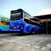 Thông 🚐 văn vinh 🙂‍↔️
