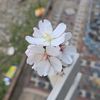 aliabdulkarim671