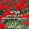 ahmedhalal169