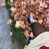 fall.ko7