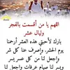 mohamedezzahir443