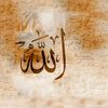 user5229578800671