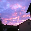 krystynka013