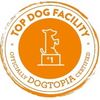 Dogtopia of Downtown Orlando