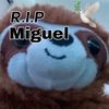 miguelthesloth