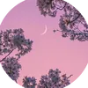 gipsy_111