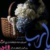 user6772055150088