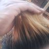fendevilll2