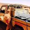user9qtb1hqckw