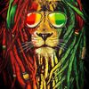 santacruzreggaemusc